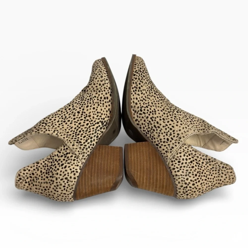 Coconuts by Matisse coconuts by